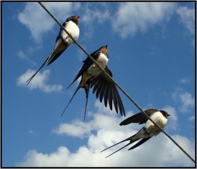 Едины по сути мы все на Планете...