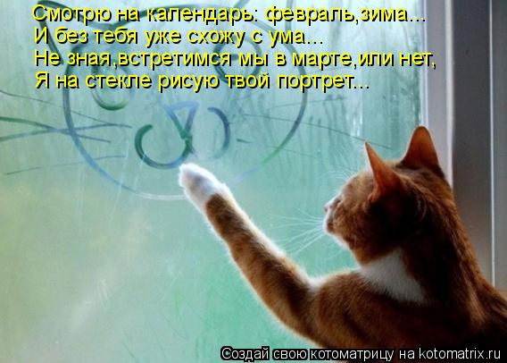 Кот посмотрел на календарь