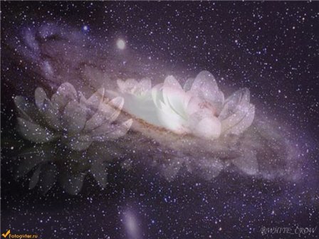 Звёзды говорят...