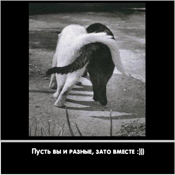 Дело случая