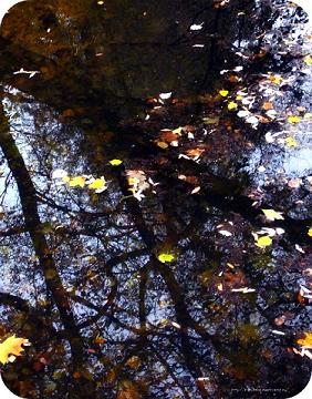 Написать бы тебе давно