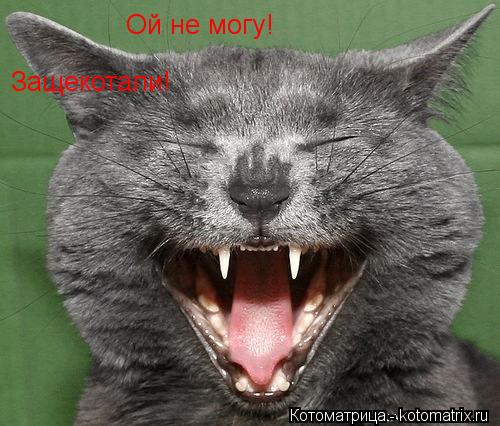 Трава. 29. 03. 2013