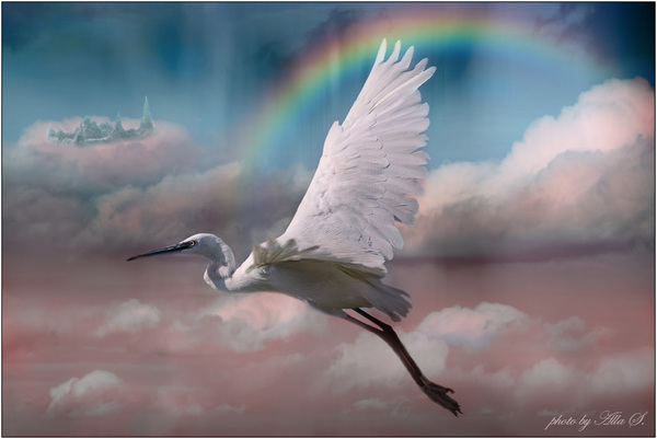 а кто твой любимый?