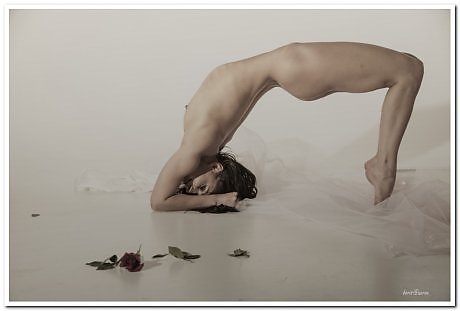 Прекрасное