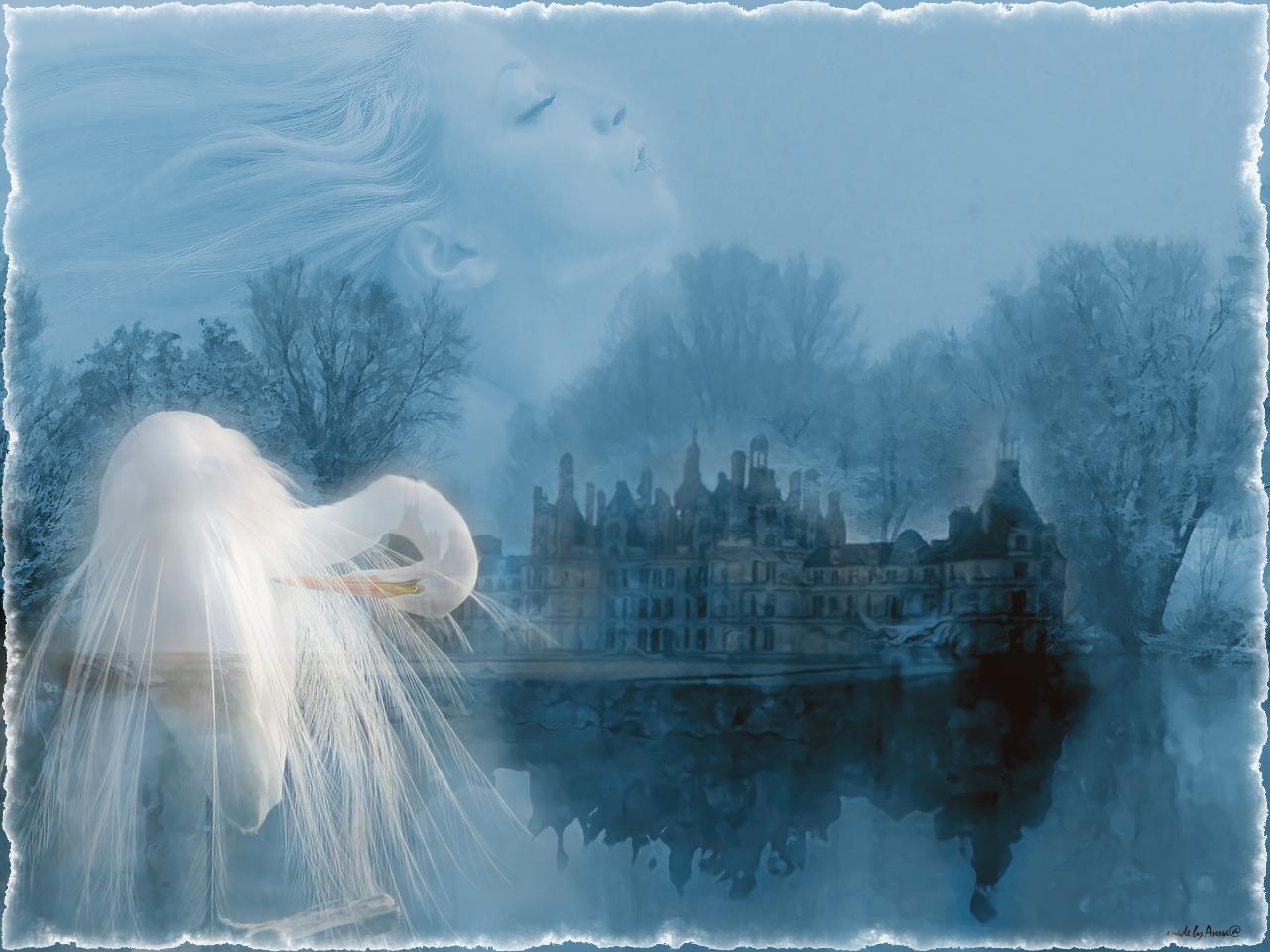 Дух вдохновения. Белая птица - душа. Лебедь душа. Белый сон птица. Душа лебедь белая.
