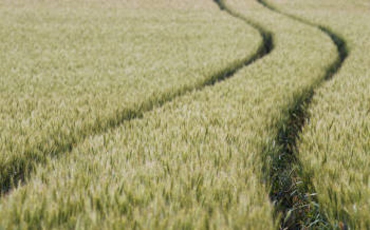 Итоги лета осенью подводят