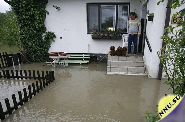 А весна - то пробралась...
