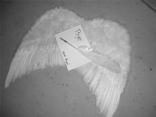 Крылья уже не в моде