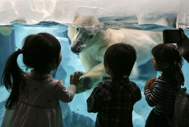 В рапиде движующиеся молодость