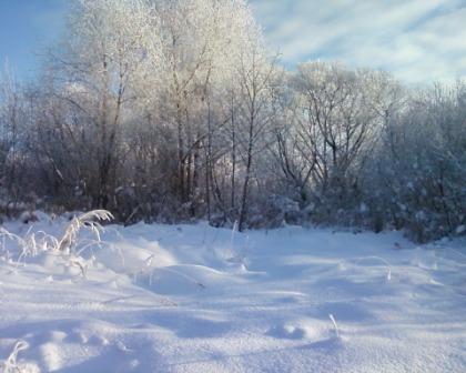 Зимняя свадьба