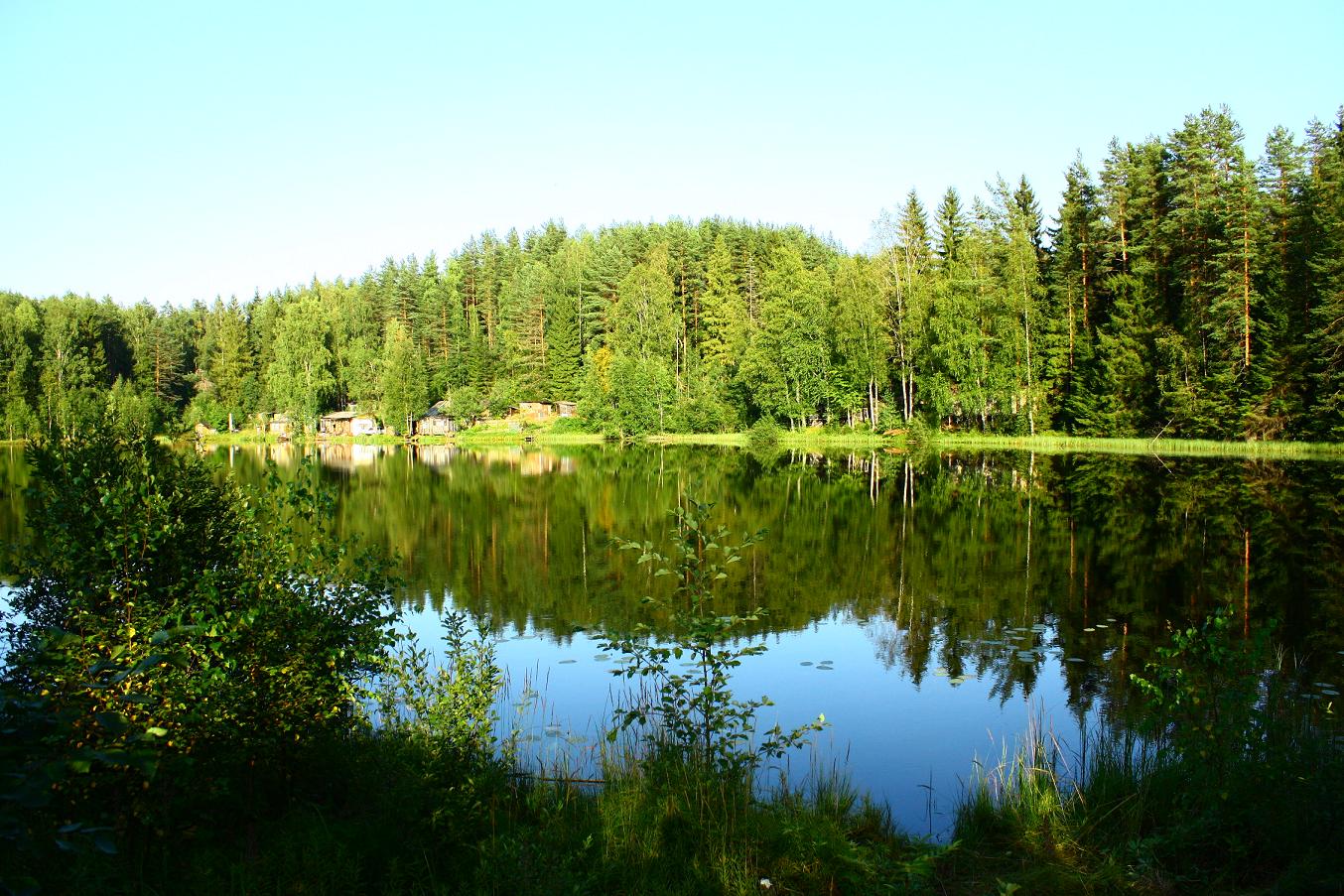 Участок деревня озера. Водоохранные леса. Озеро рядом с лесом. Лес рядом с озером. Участок с лесом и озером.