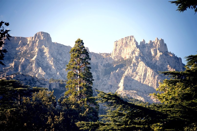 память о лете