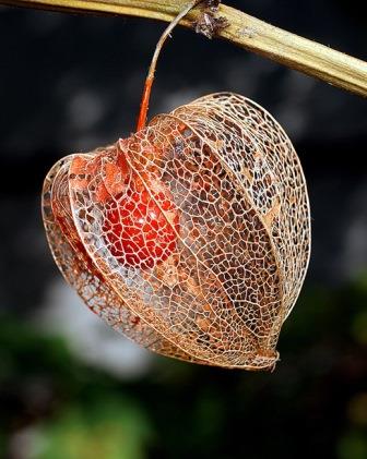 Любовь ушедших дней...