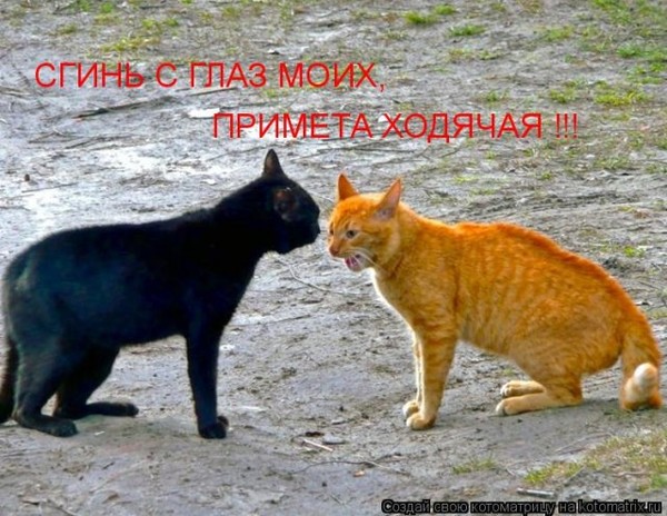 Всё достало!