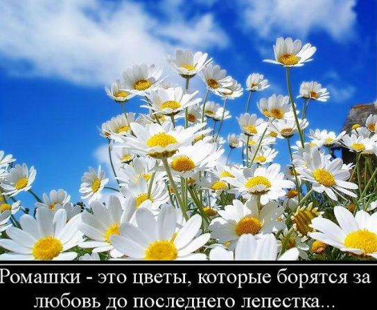 Любим. Любим! Любим!!