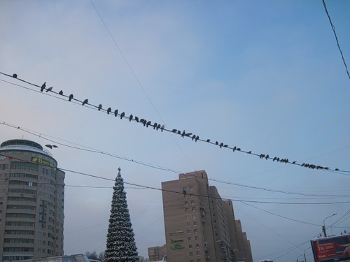 В двух шагах от Нового Года