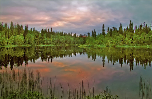 Я тебе в ладонях принесу