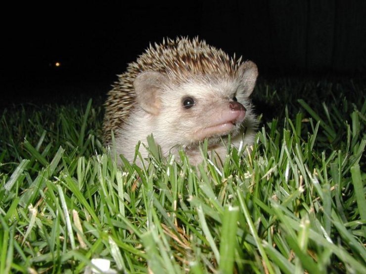 Из серии Про любовь