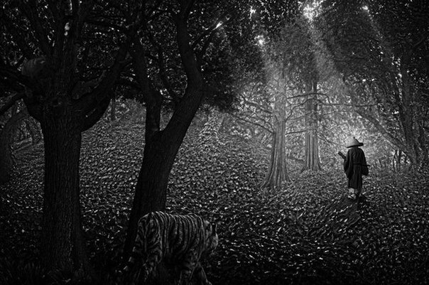 Шелковые нити.. гладкие пути