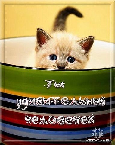 Лебедевой Иринке