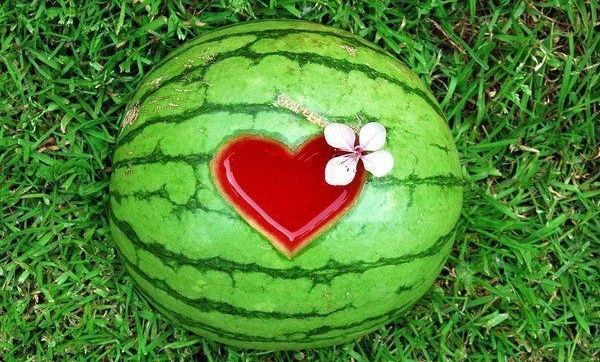 Летняя любовь