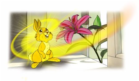 Солнечный зайчик