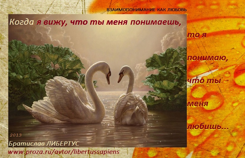 2013 Взаимопонимание как любовь. Vip