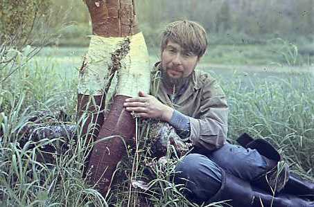 Как много мы могли