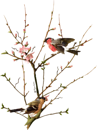 Прощай, зима!