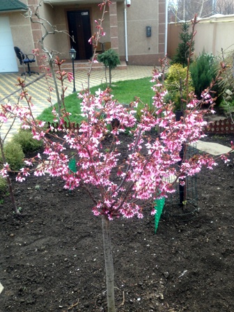 Вот и дождались