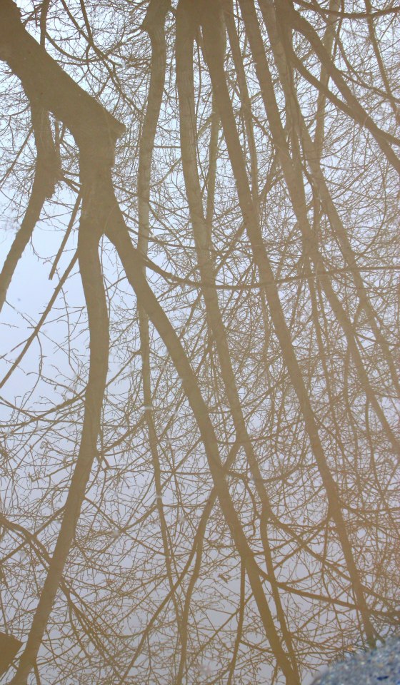 не люби чужую, люби свою