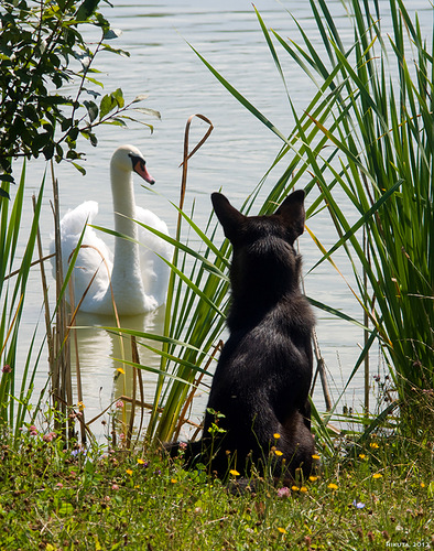Любовь Святое чувство! Фото Яндекс