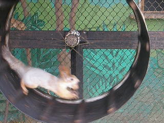 Снова в Столице