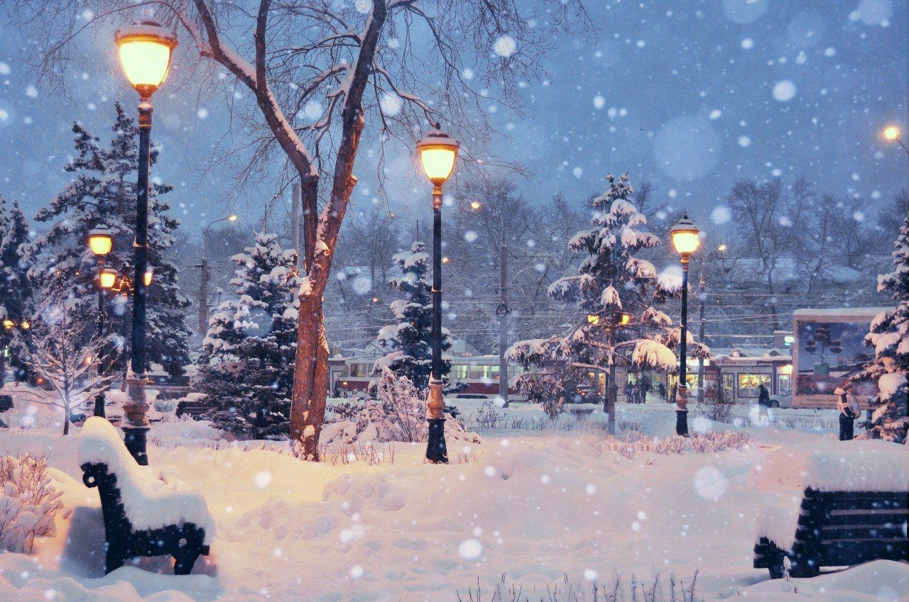 Зимнее утро