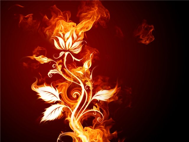 Огонь взаимности