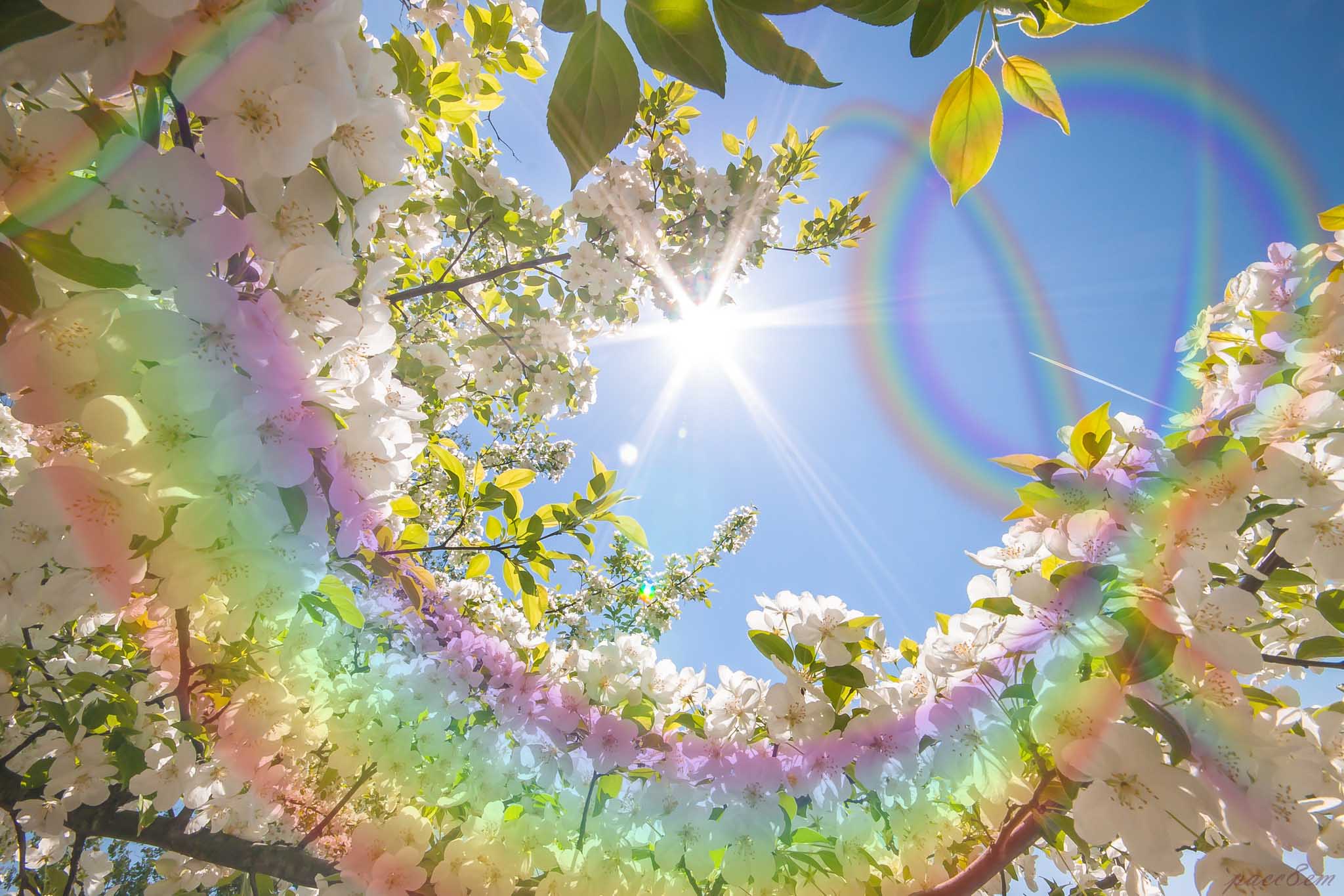 Чистой души мелодия