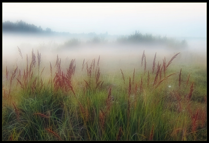 Седой туман (Галина Тимэ) / Стихи.ру