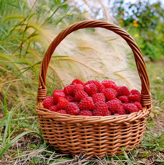 Счастья половиночки
