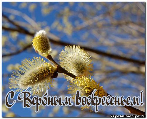 Как у Вербушки, да у Матушки