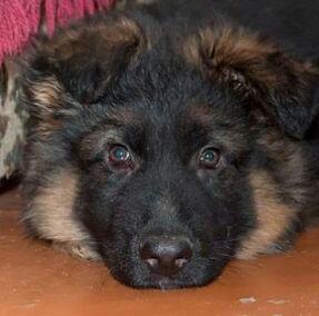 этот мальчик с холодным сердцем...