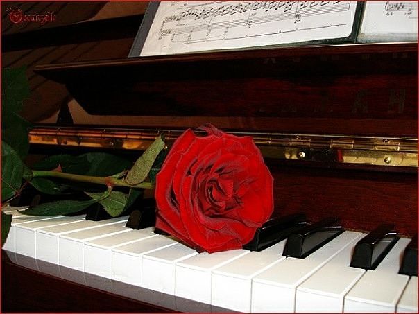 Искусство тонко всё услышать