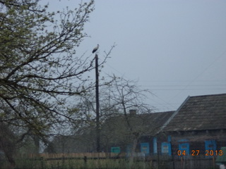 А мы тута и в омуте