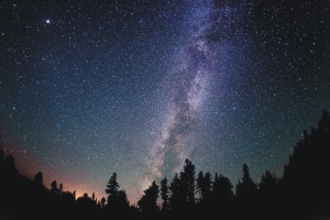 Павака с Павана гулял тут кай Падмы й