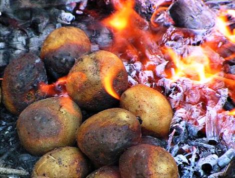 Скромный ужин с Природой...