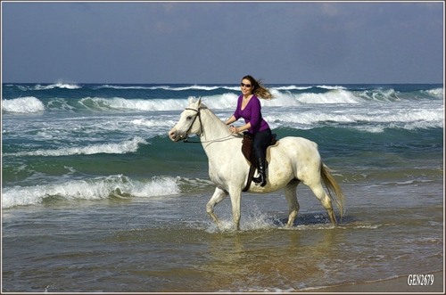 Я лошадь белогривая! фото Яндекс