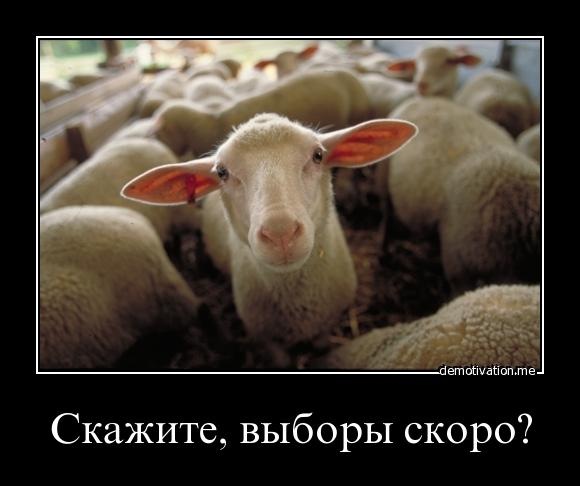 Живём или существуем?