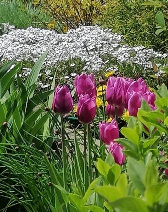 Весенние картинки детям