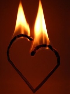 Ночной натюрморт