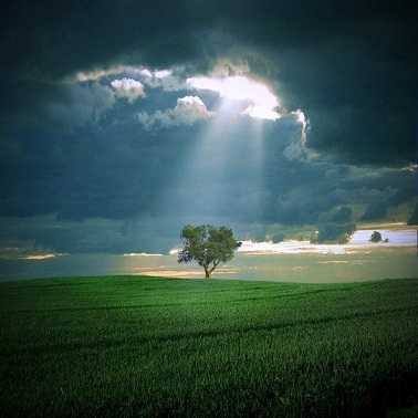 К одиночеству. Евгений Оберенко