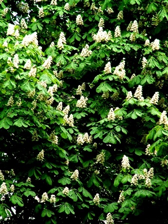 Чудесный миг